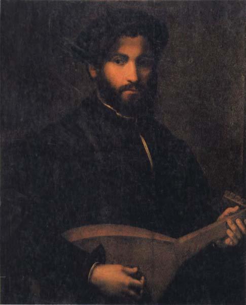 CAMPI, Giulio Portrait of a Gentleman with Mandolin oil painting image